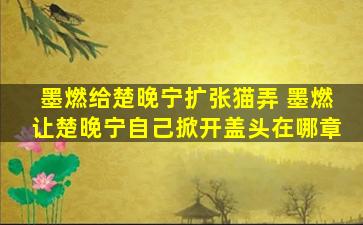 墨燃给楚晚宁扩张猫弄 墨燃让楚晚宁自己掀开盖头在哪章